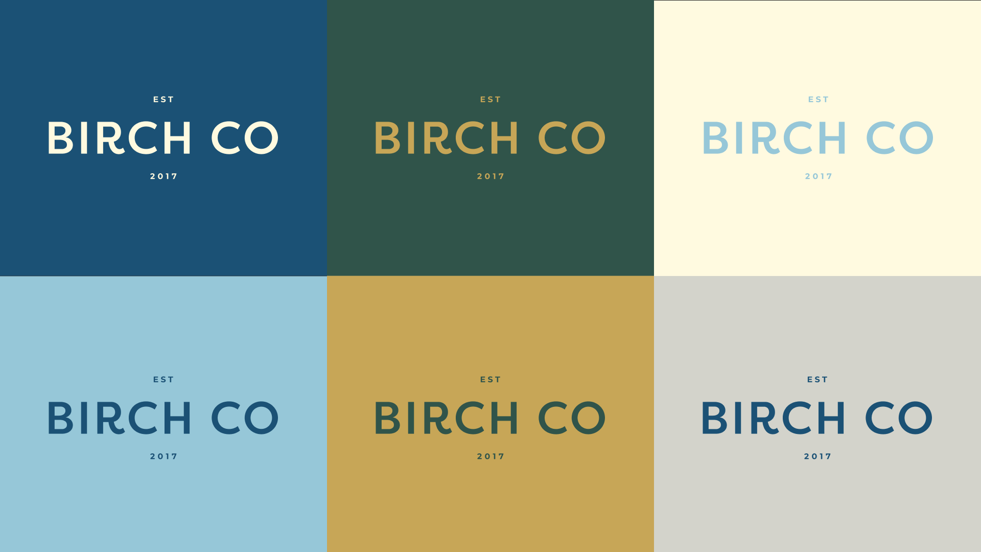 Brand color and logo system