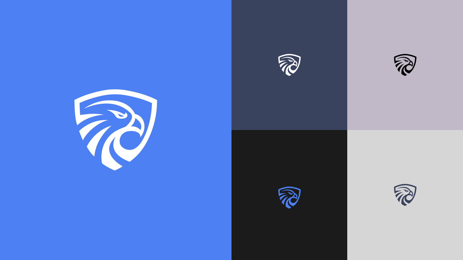Ten Seven Security logo and eagle-shield mark across the brand colorways